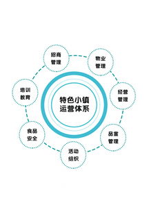 專訪光合文化創(chuàng)意集團(tuán)董事長趙興朋 特色小鎮(zhèn)是個有機(jī)生命體，數(shù)字文化創(chuàng)意內(nèi)容的應(yīng)用與服務(wù)